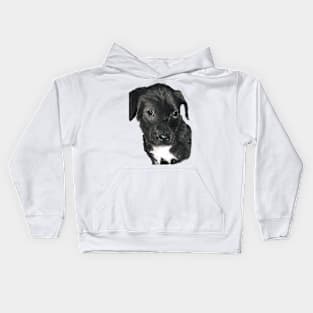 Shy black labrador pup... Kids Hoodie